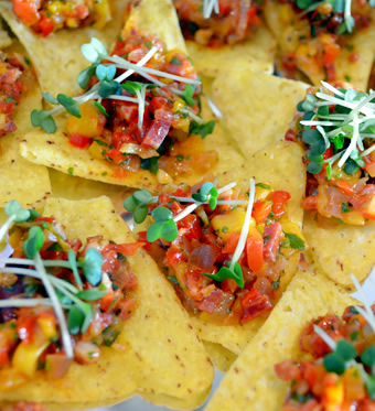 Tortilla salsa Christmas canapes at Holland Park